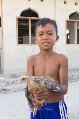 Bajo kid and his chicken