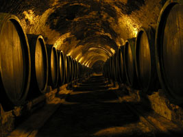Tokaj cellar, Slovakia; Source: wikimedia.org, Legnaw