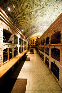Wine cellar, Bratislava, Slovakia