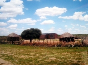 Kalahari village
