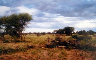 Kalahari in color