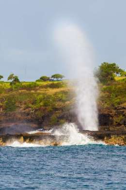 Spouting horn