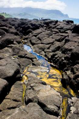 Lava rocks