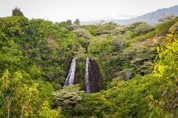 Opaekaa Falls,