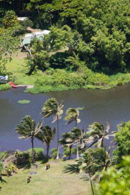 Waipi'o valley