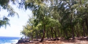 004_IMG_4440_Panorama1-623