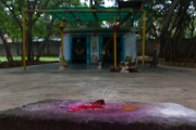 Temple and stone