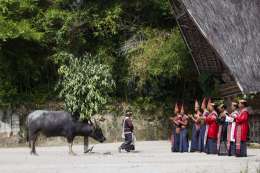 Batak ceremony