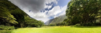 inside of Waipio valley, Hawaii