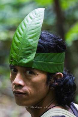 Jungle man, Sumatra