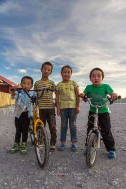 Local gang, Mongolia