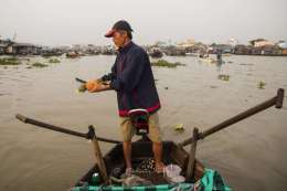 Mekong delta