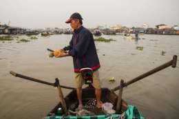 Mekong delta