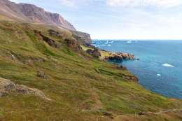 Coast around Qeqertarsuaq