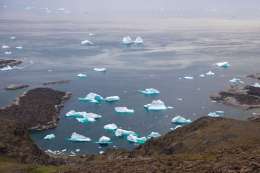 Icebergs in a bay