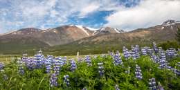 Scenery mountains