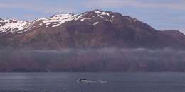 Whale Tale, Iceland