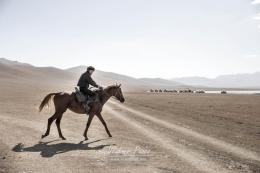 Buzkashi, Kok-boru