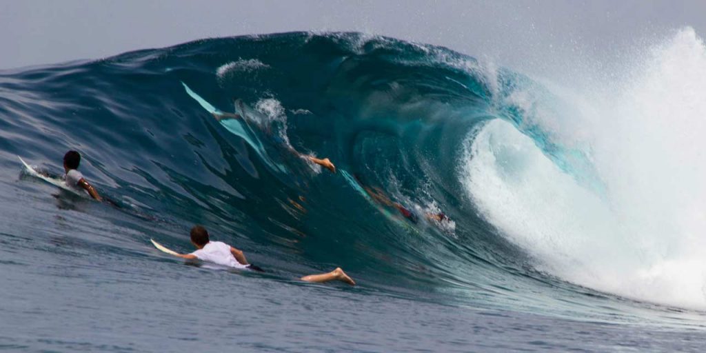 Surfing | Autor: Vladimir Pauco